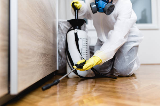 Best Emergency Pest Control  in Clayton, DE