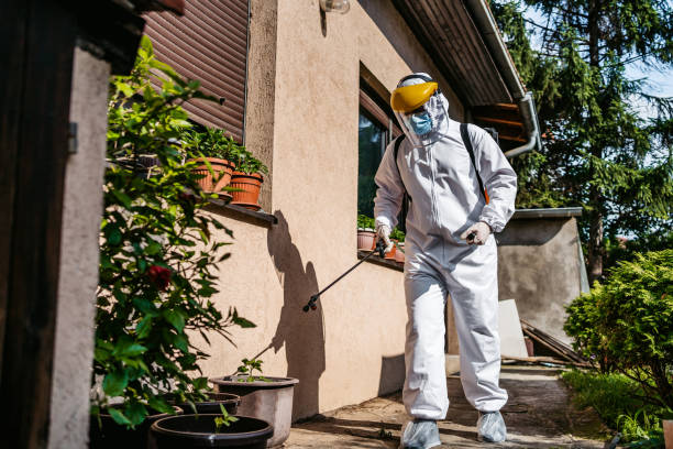 Best Rat Extermination Near Me  in Clayton, DE