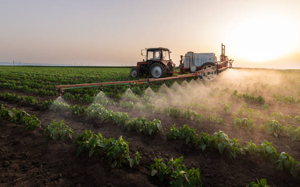 Reliable Clayton, DE Pest Control Solutions