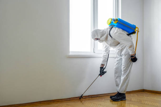 Best Flea Control Services  in Clayton, DE