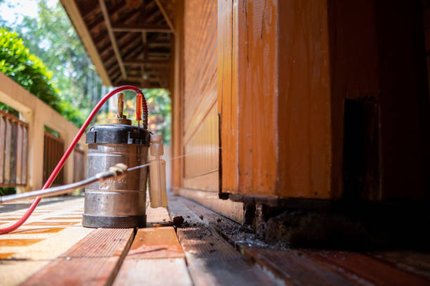 Best Ant Control Services  in Clayton, DE