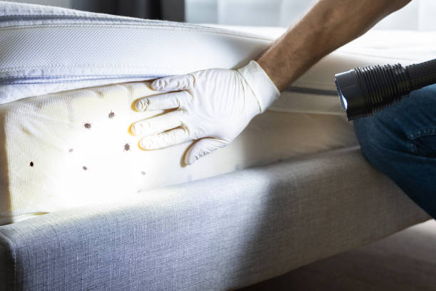 Best Residential Pest Control  in Clayton, DE