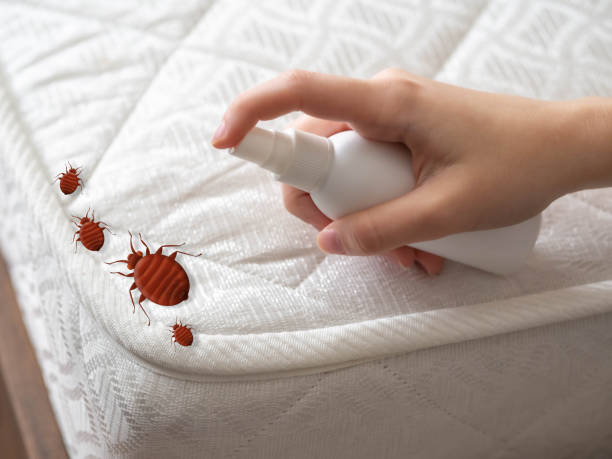 Best Pest Removal Services  in Clayton, DE