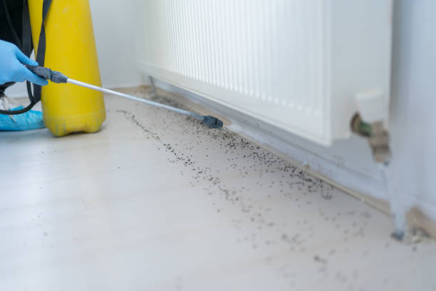 Best Pest Removal Services  in Clayton, DE