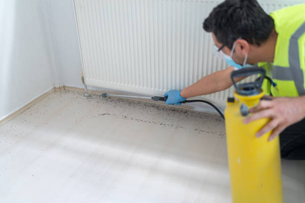 Best Emergency Pest Control  in Clayton, DE
